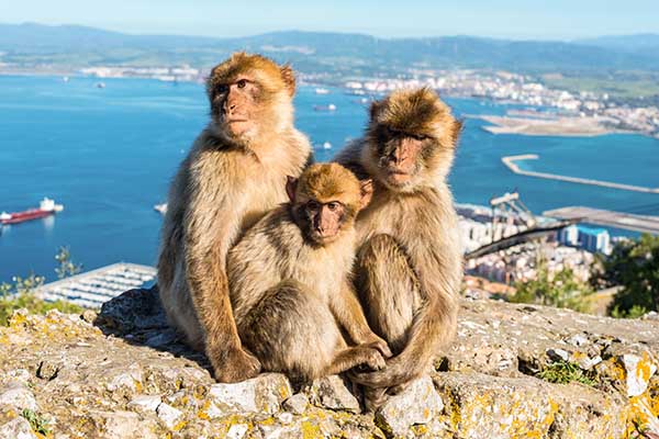 Que visiter en Andalousie