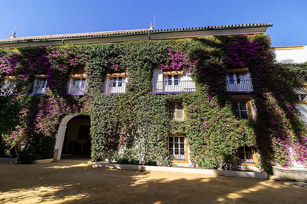 Palacio de las Dueñas