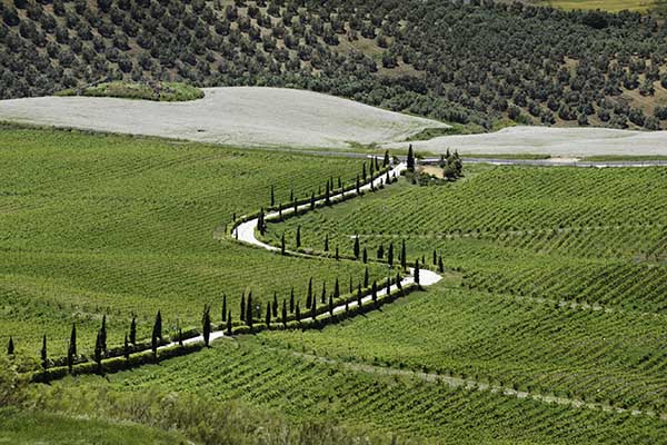 Ronda Incontournables